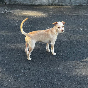 Meet your Posher, Jayci